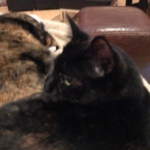 Meet your Posher, Kim